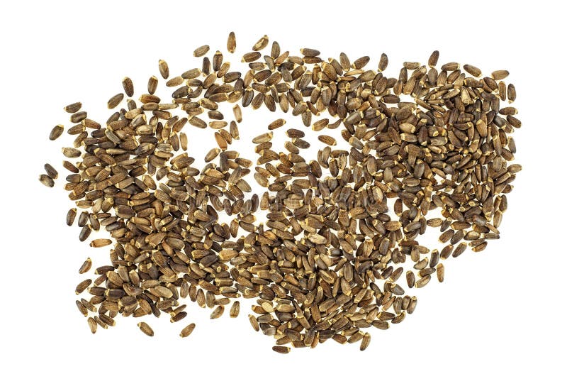 Seeds of a Milk Thistle on White Background, Top View. Scotch Thistle