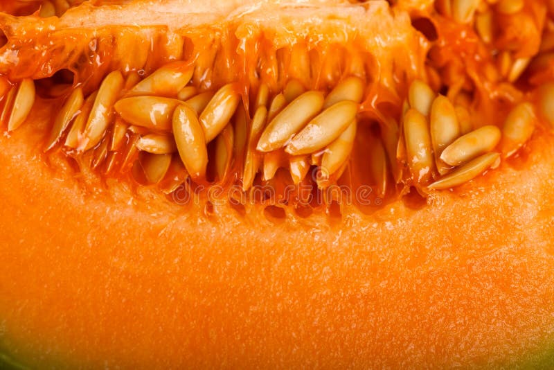 Yellow melon seeds inside stock image. Image of fruit 34465255
