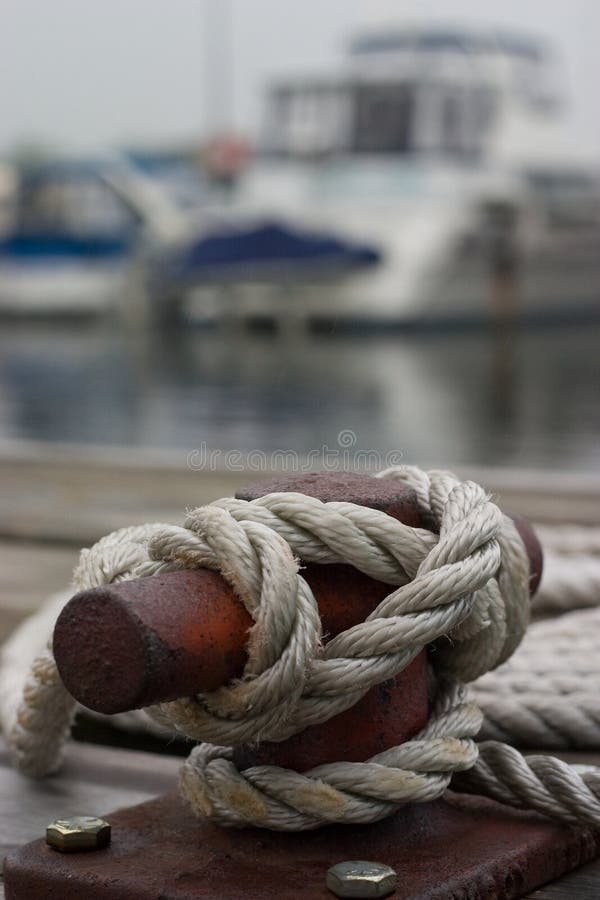 Seeklemmenahaufnahme mit Boot im Hintergrund stockbild Seeklemmenahaufnahme mit Boot im Hintergrund stockbild