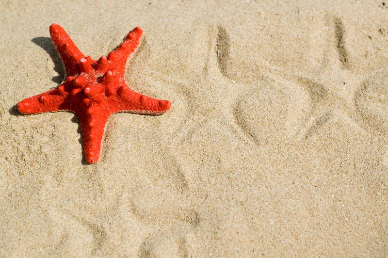 Seestern auf dem Sand lizenzfreie stockbilder Seestern auf dem Sand lizenzfreie stockbilder