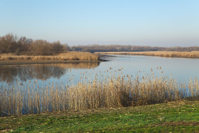 Seeuferherbstlandschaft stockfoto Seeuferherbstlandschaft stockfoto