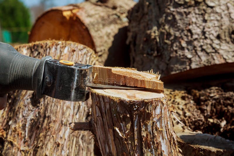 Segando dalla maschera elettrica ha visto, sega elettrica della maschera per tagliare l'albero immagine stock libera da diritti Segando dalla maschera elettrica ha visto, sega elettrica della maschera per tagliare l'albero immagine stock libera da diritti