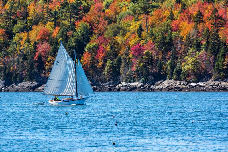 Segelbåt i höst i kust- Maine, New England royaltyfri bild Segelbåt i höst i kust- Maine, New England royaltyfri bild