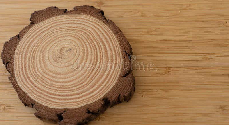 Image of slice of tree with annual circles and bark on a wooden background. Image of slice of tree with annual circles and bark on a wooden background