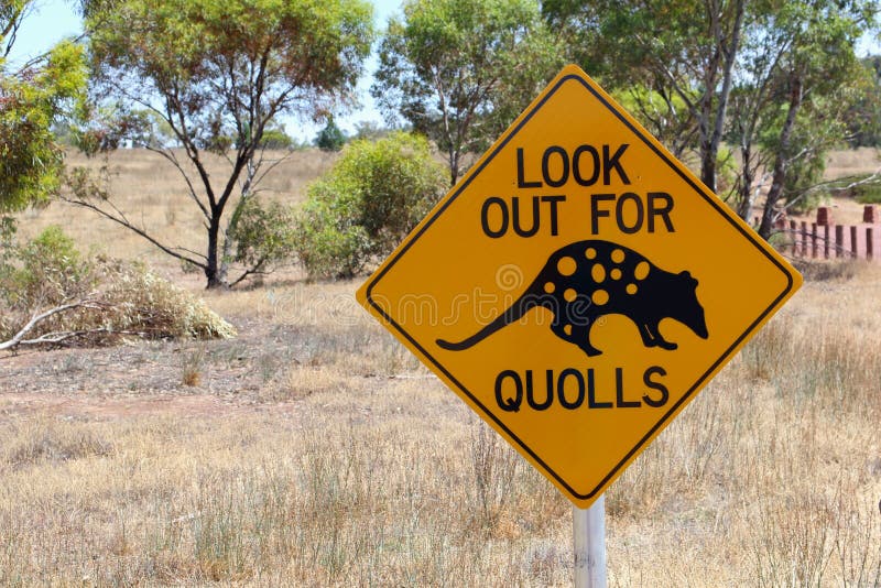 Segnale stradale d'avvertimento di Quolls, Australia Meridionale immagini stock Segnale stradale d'avvertimento di Quolls, Australia Meridionale immagini stock