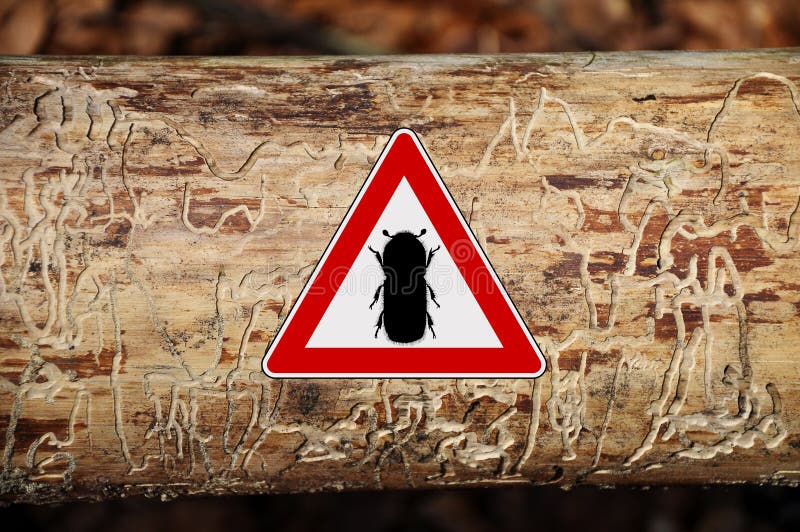 segno di attenzione dello Scortecciare-scarabeo