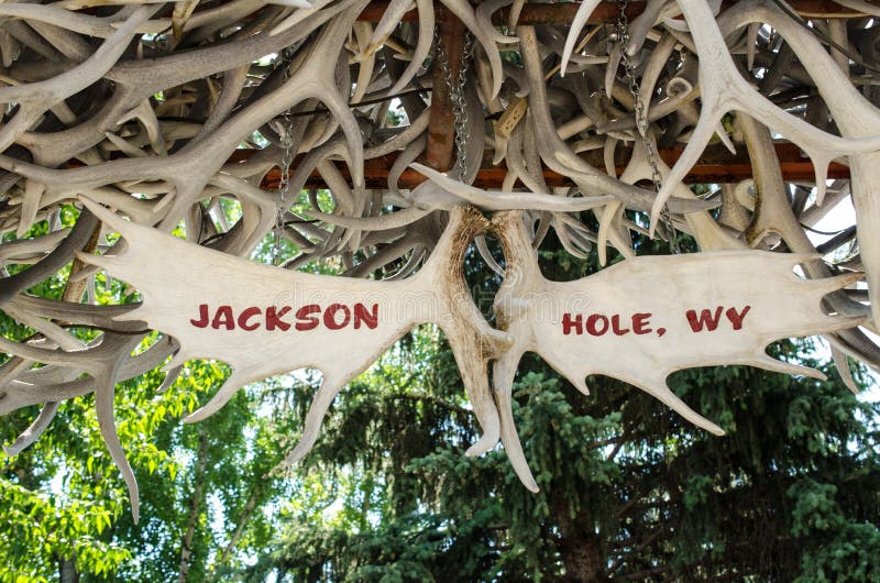 Segno di Jackson Hole Antler Arch