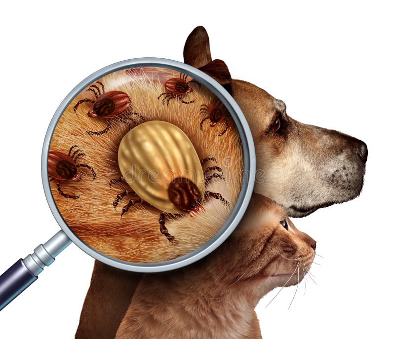 Segno di spunta dell'animale domestico royalty illustrazione gratis Segno di spunta dell'animale domestico royalty illustrazione gratis
