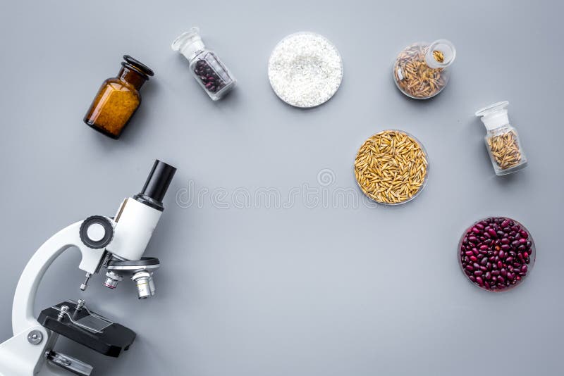 Seguridad alimentaria Trigo, arroz y habas rojas cerca del microscopio en copyspace gris de la opinión superior del fondo imagen de archivo Seguridad alimentaria Trigo, arroz y habas rojas cerca del microscopio en copyspace gris de la opinión superior del fondo imagen de archivo