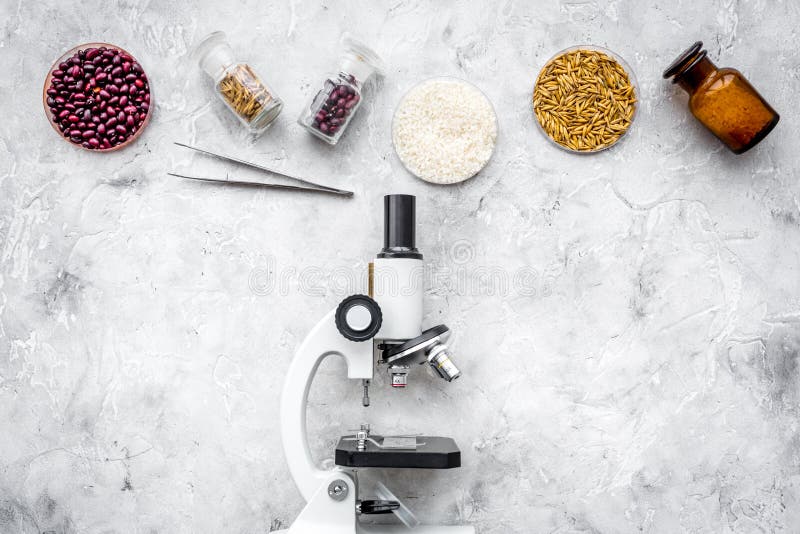 Seguridad alimentaria Trigo, arroz y habas rojas cerca del microscopio en copyspace gris de la opinión superior del fondo imágenes de archivo libres de regalías Seguridad alimentaria Trigo, arroz y habas rojas cerca del microscopio en copyspace gris de la opinión superior del fondo imágenes de archivo libres de regalías