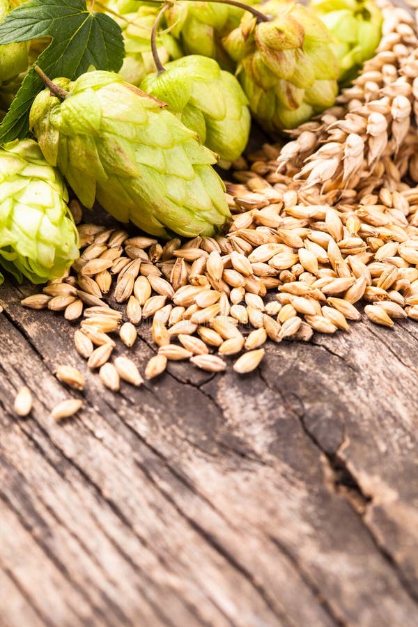 Sehr große Flasche Bier, mit einem sehr kleinen Bierglas lizenzfreie stockfotografie Sehr große Flasche Bier, mit einem sehr kleinen Bierglas lizenzfreie stockfotografie