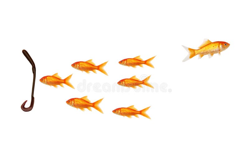 Seien Sie eine Einzelperson folgen nicht dem Satz lizenzfreie stockfotografie Seien Sie eine Einzelperson folgen nicht dem Satz lizenzfreie stockfotografie