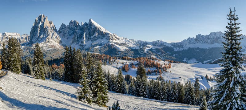 Seiser Alm, Dolomites meadow in winter. Panorama image of the Seiser Alm or Alpe di Siusi, a high altitude alpine meadow in the Dolomites with Langkofel and royalty free stock photo