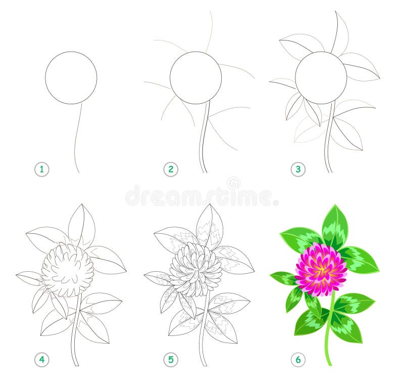 31 Blumen Zeichnen Schritt Fur Schritt Besten Bilder Von Ausmalbilder