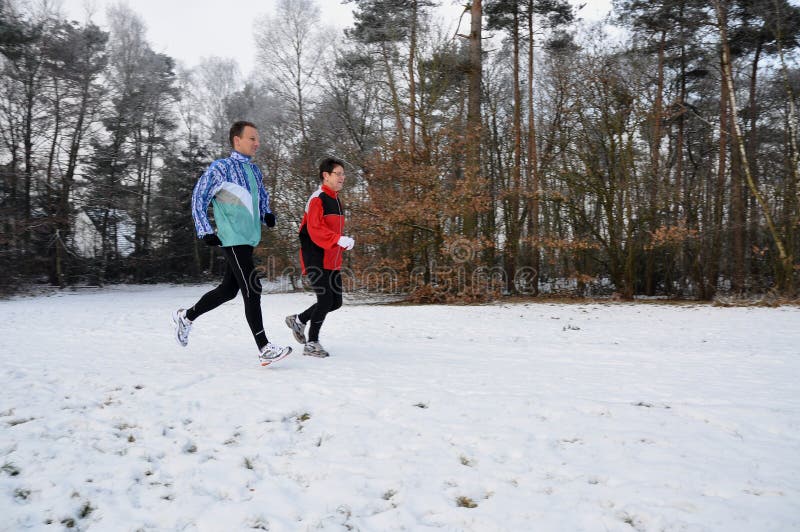 Seitentriebe in der Winterzeit stockbild Seitentriebe in der Winterzeit stockbild