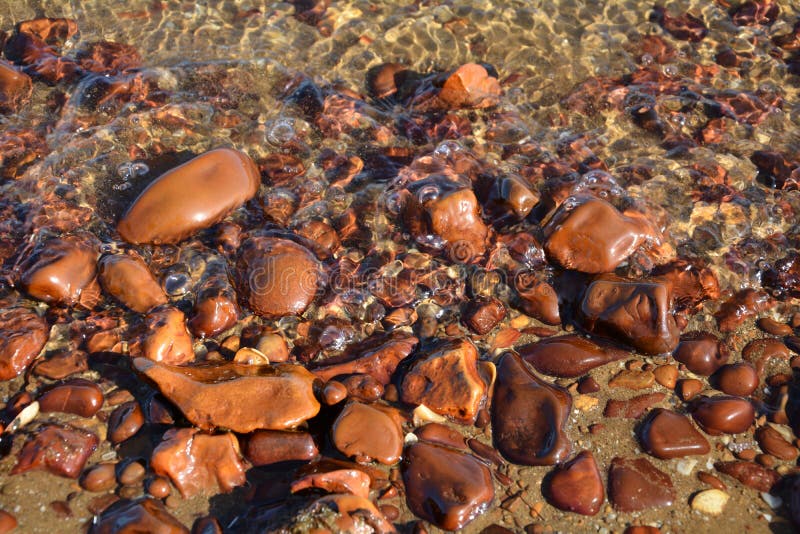 Seixos do Mar Vermelho imagem de stock