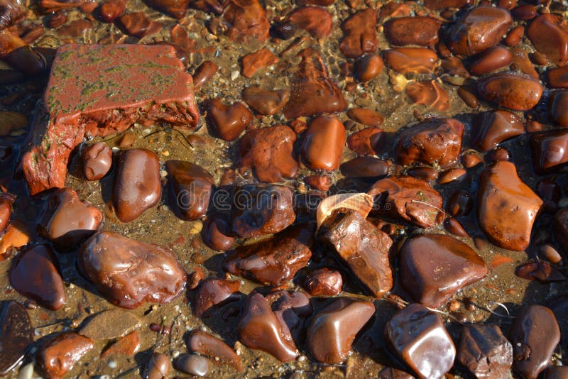 Seixos do Mar Vermelho imagem de stock royalty free