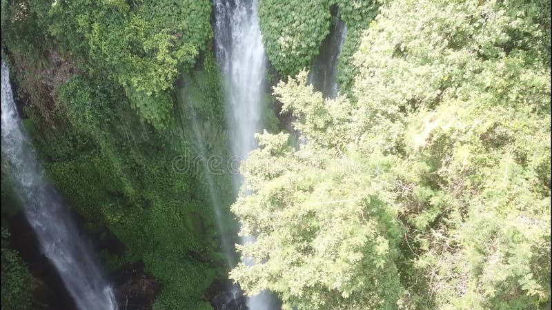 Sekumpul waterfall, Bali, Indonesia. Aerial view on the waterfall in jungle. Travel - video