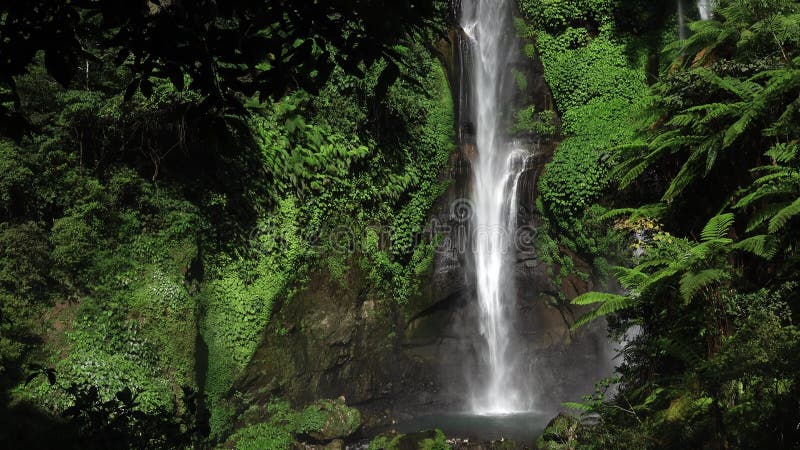 Sekumpul Waterfall in Bali, Indonesia