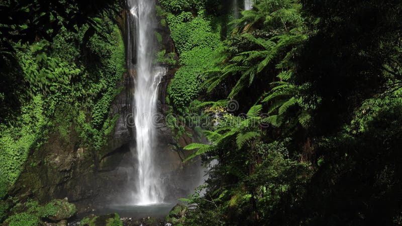 Sekumpul Waterfall in Bali, Indonesia