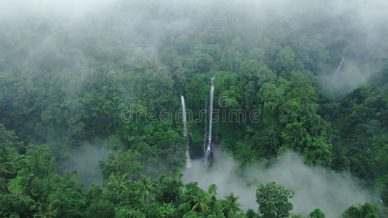 Sekumpul Waterfall in Bali surrounded by green vegetation