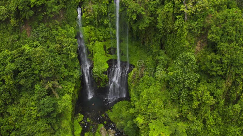 Sekumpul waterfall in Bali surrounded by tropical forest. Aerial view 4K