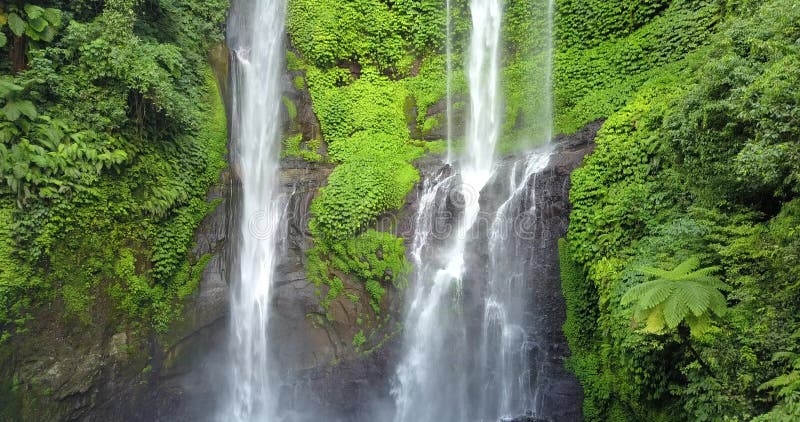 Sekumpul Waterfall in Bali with tourists, Indonesia . Drone aerial Shot