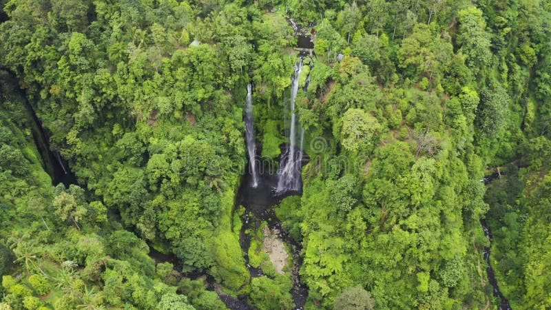 Sekumpul waterfall in the rainforest - The beauty of a waterfall among the lush green leaves of a rainforest on Bali