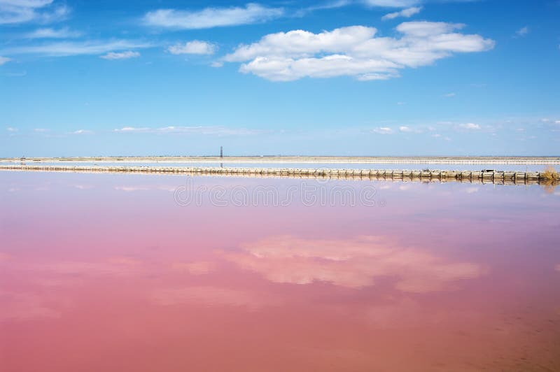 Sel rose de lac image stock. Image du adelaïde, wakefield - 7104419