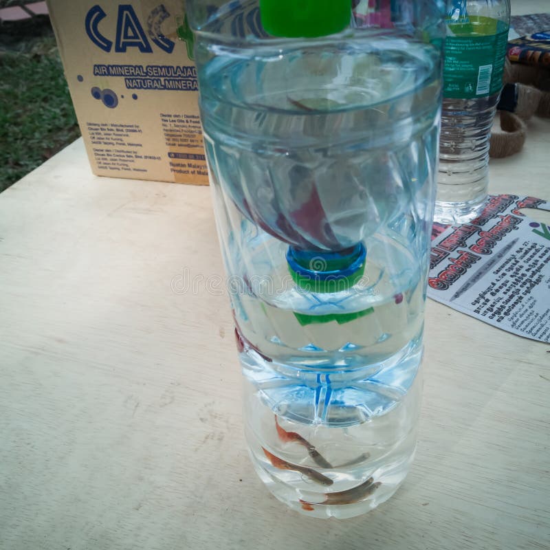Recycle Bottle Made into a Small Aquarium, Keeping Fish Inside Editorial Photo Image of