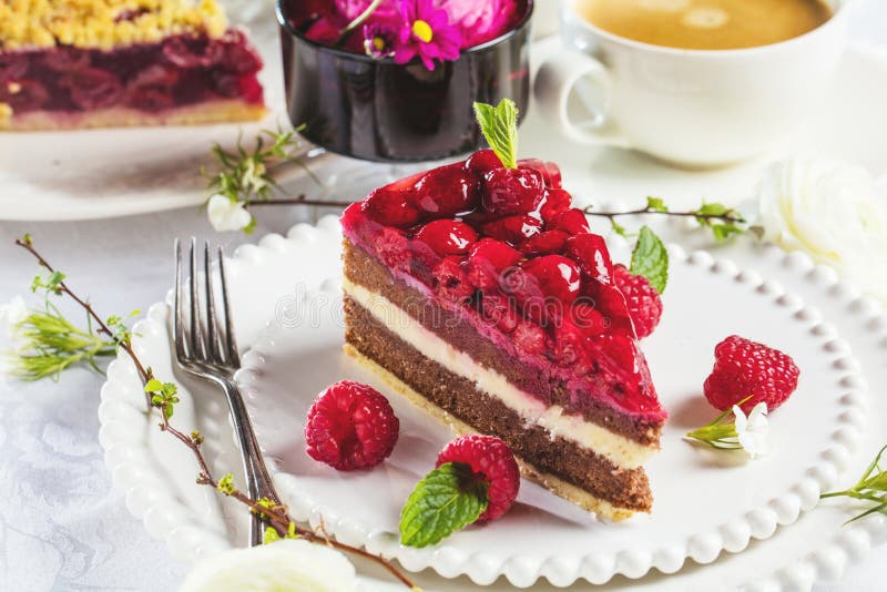 Selbst gemachter Käsekuchen mit frischen Himbeeren und Sommernachtischtortenkäsekuchen der Minze zum Nachtisch - gesundem organis lizenzfreies stockbild Selbst gemachter Käsekuchen mit frischen Himbeeren und Sommernachtischtortenkäsekuchen der Minze zum Nachtisch - gesundem organis lizenzfreies stockbild