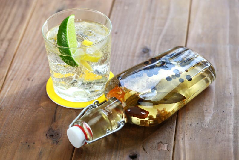 Selbst gemachtes Infusionsgin tonic lizenzfreie stockbilder Selbst gemachtes Infusionsgin tonic lizenzfreie stockbilder