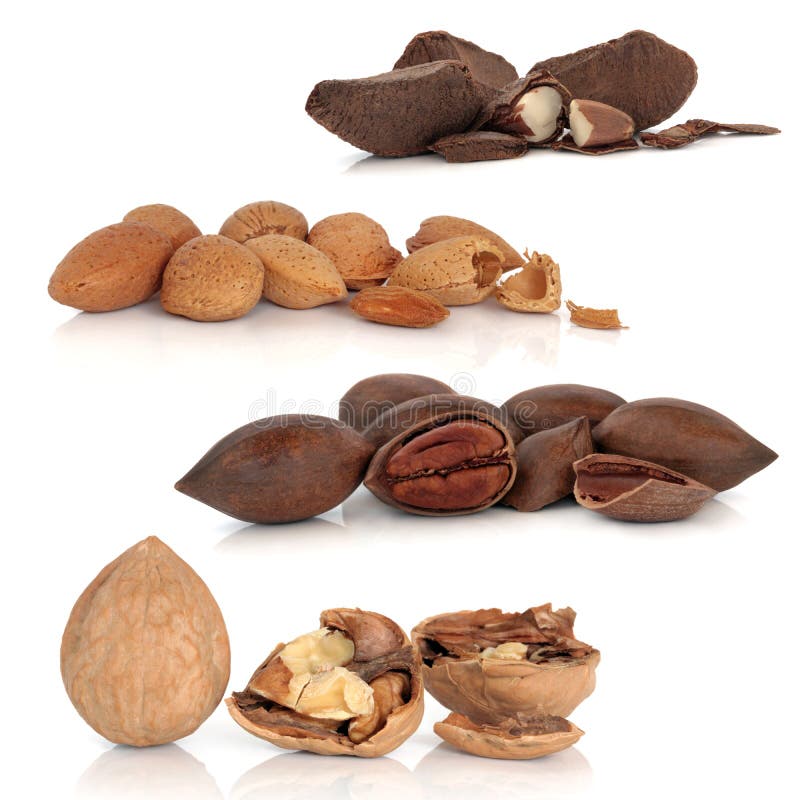 Walnut, pecan, almond and brazil nut sampler isolated over white background with reflection. Walnut, pecan, almond and brazil nut sampler isolated over white background with reflection.