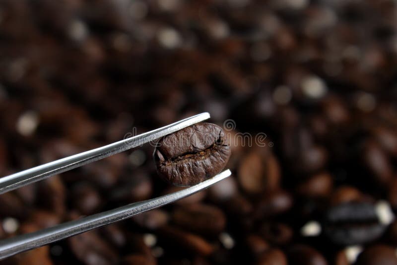 Selected a Best Coffee Beans Stock Image Image of close, breakfast