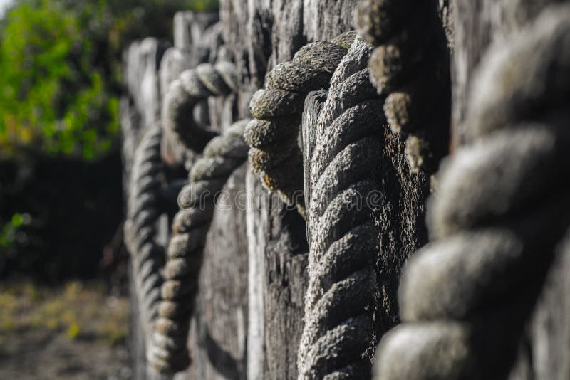 Selective Closeup Shot of Tied Gray Wire Ropes Stock Image Image of