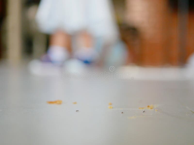 Ants and bread crumbs on the house floor with a defocus little baby standing in the background