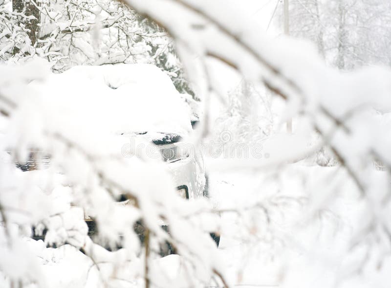 Car under trees and snow royalty free stock image