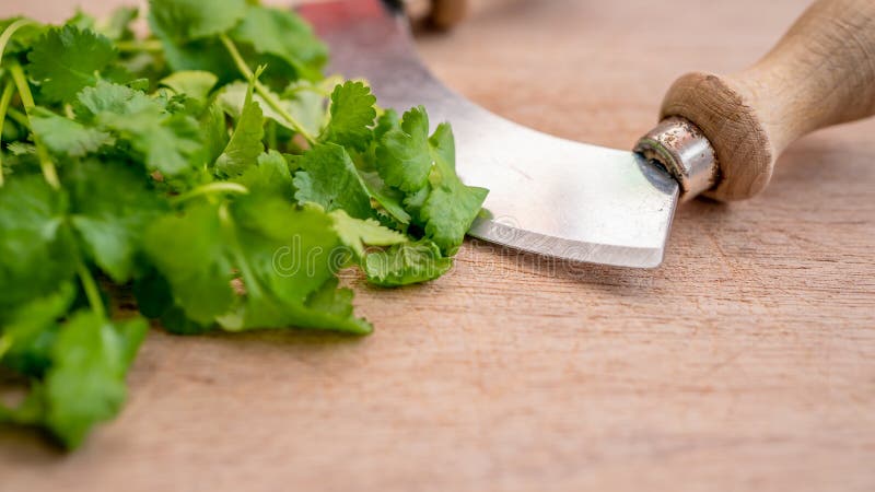 Green Coriander Leaves and Chopper on a Wooden Cutting Board Stock Image -  Image of bunch, chopping: 172190589