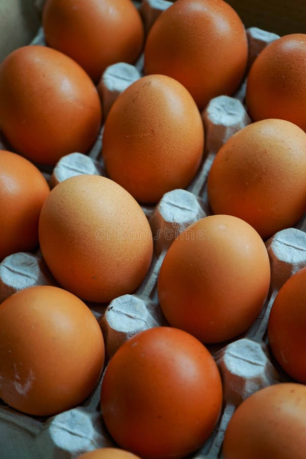 Selective Focus. a Dozen Brown Eggs in Their Original Packaging Stock