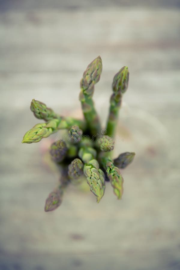 Selective Focus Photo Of Green Leaf Plant Free Public Domain Cc0 Image