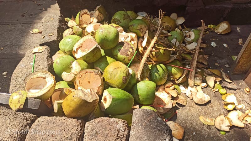 Selective focus picture of green tender Coconut shell thrown on road stock image
