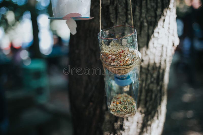 Selective focus shot of a bird feeder plastic bottle hanged on a tree