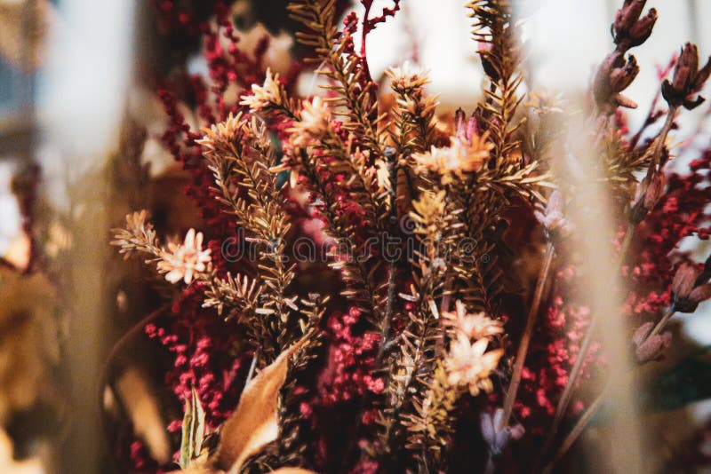Selective focus shot of decorative multicolored branches under sunlight royalty free stock photos