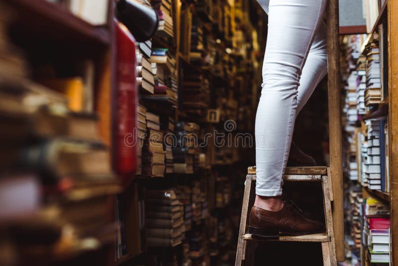 366 Library Vintage Ladder Stock Photos - Free & Royalty-Free Stock ...