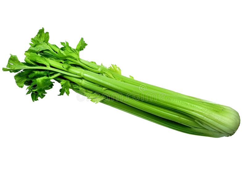 Selerowy sok, Selerowi liście uprawia ogródek kulinarnego sok zdjęcia stock Selerowy sok, Selerowi liście uprawia ogródek kulinarnego sok zdjęcia stock