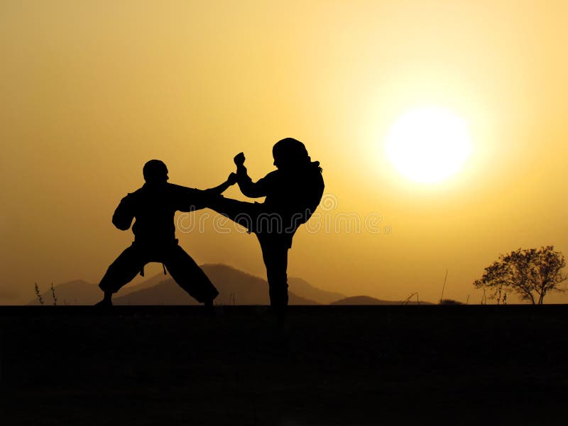 Self defense martial arts training