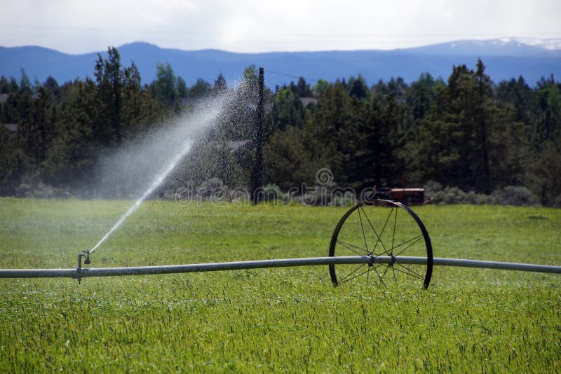 Self Propelled Irrigation Sprayers Stock Image Image of self, watering 32225867