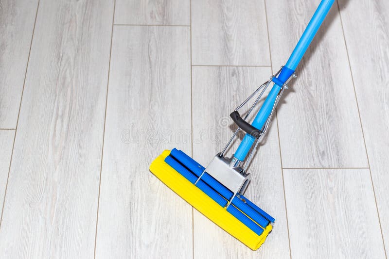 Selfsqueezing Mop Cleans Laminate Flooring. Cleaning the House