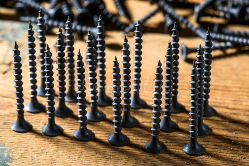 Selftapping Screws for a Hardware Store5 Stock Image Image of store