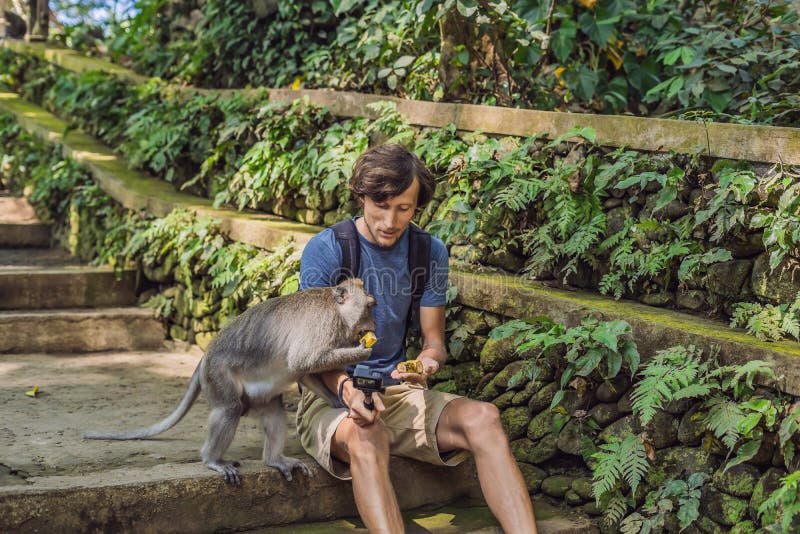 Selfie with Monkeys. Young Man Uses a Selfie Stick To Take a Photo or Video  Blog with Cute Funny Monkey Stock Photo - Image of outdoor, adventure:  139198770